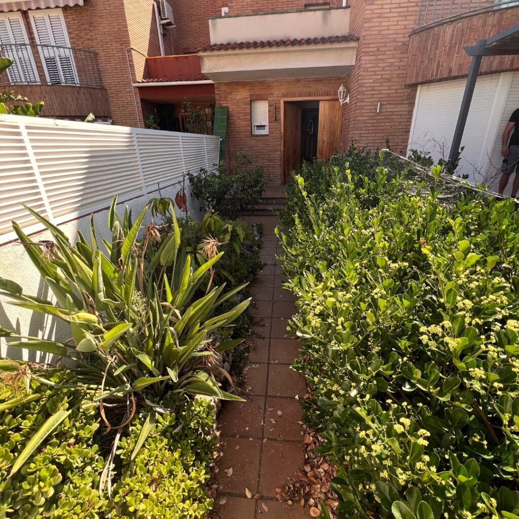 Paso lateral de una vivienda ajardinado con arbustos y plantas mediterráneas a ambos lados