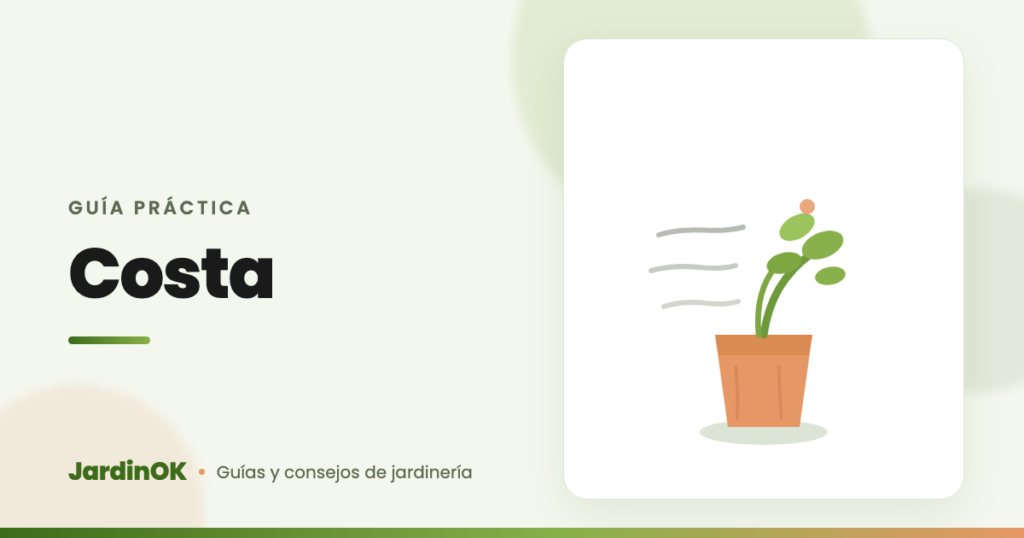 Ilustración de una maceta de barro con una planta inclinada por el viento marino