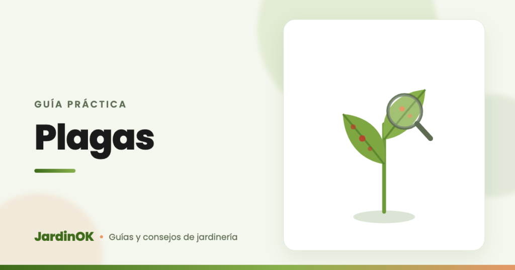 Ilustración de una hoja con plagas observada a través de una lupa