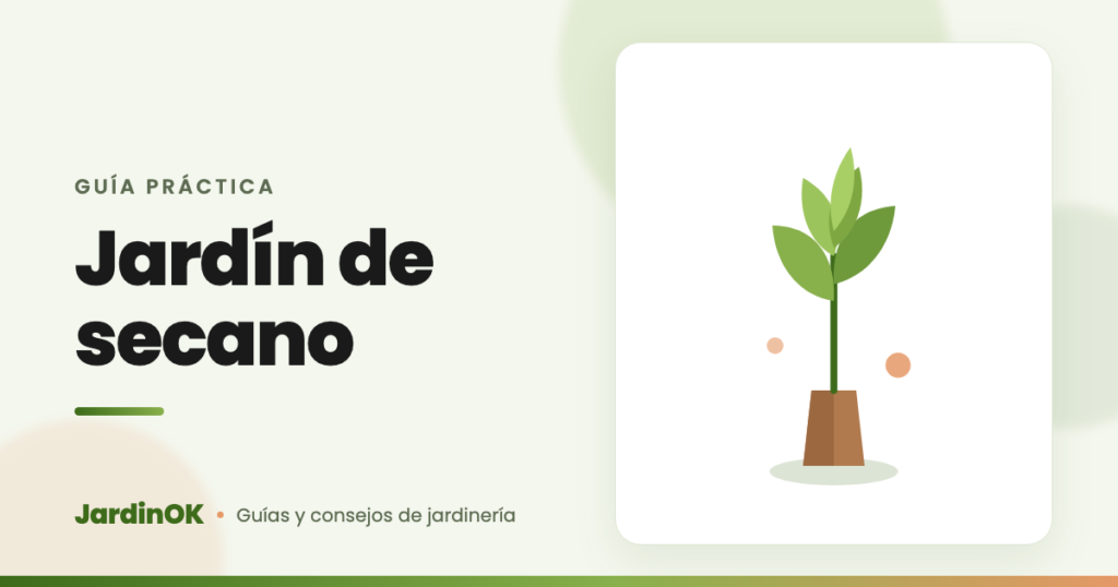 Ilustración de una planta de secano en maceta, resistente al verano mediterráneo