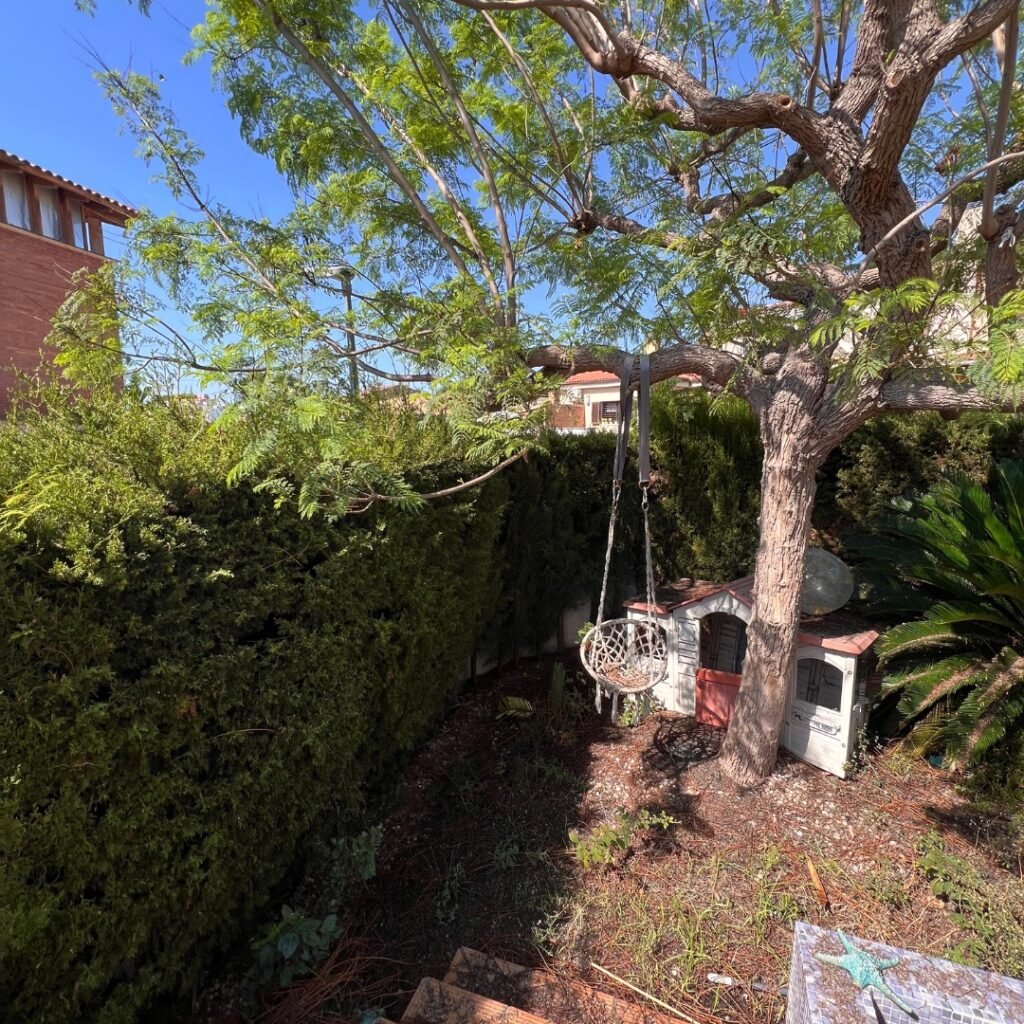 Seto denso y bien recortado delimitando un jardín mediterráneo con un árbol de sombra